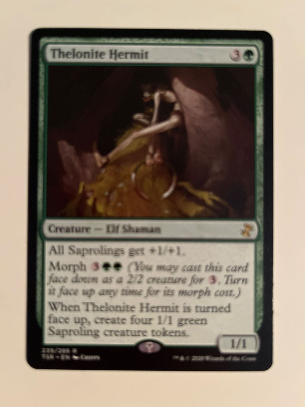 Magic The Gathering Carte collezionabili: 1 x Thelonite Hermit - Magic: The Gathering - MtG – Usato da Kriens venduto da Shadi1980