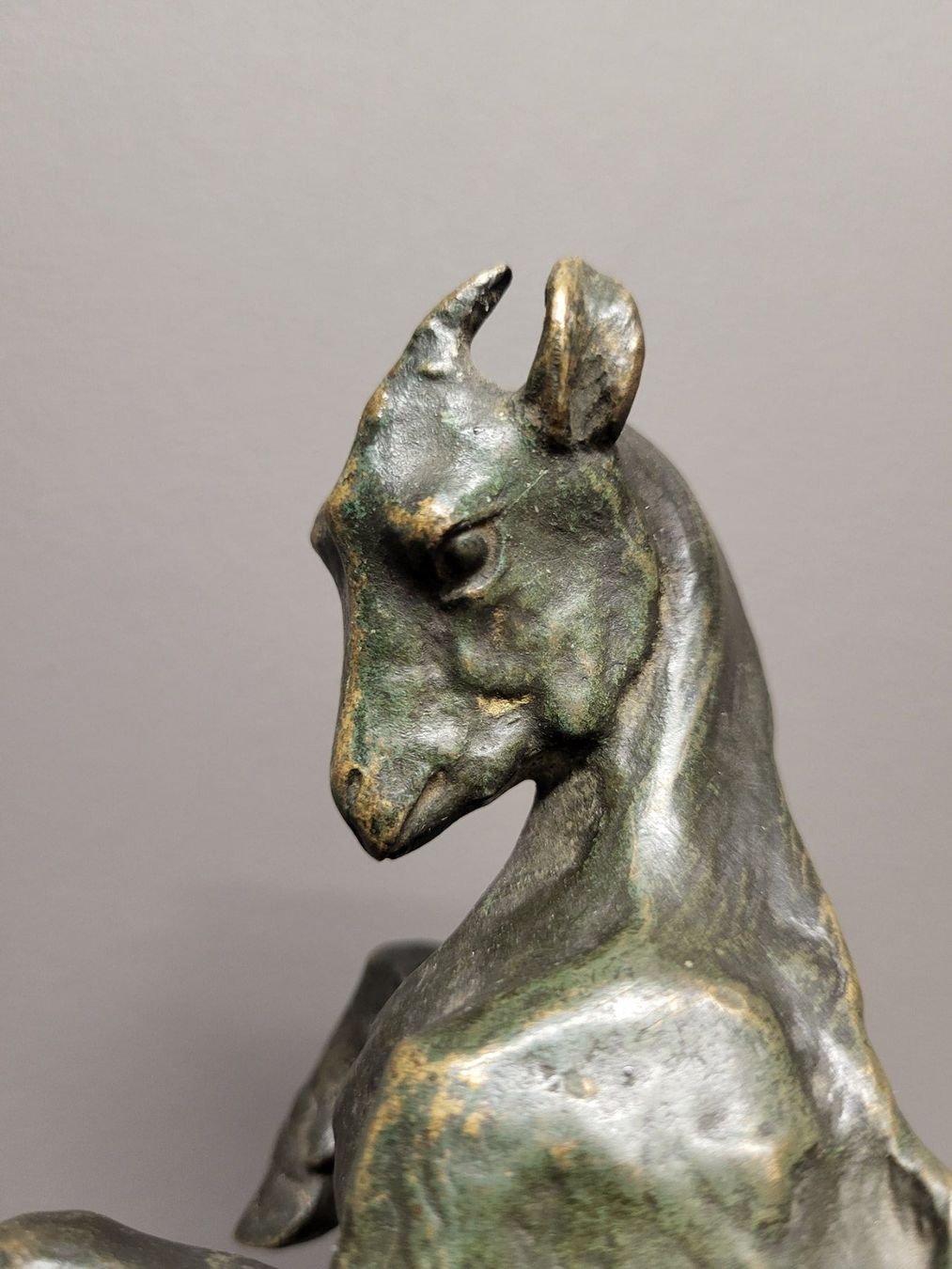 Sculture & Statue: Bronzeskulptur Ziege von M. Prost 1921 – Usato da Zürich venduto da BOAC1943 9