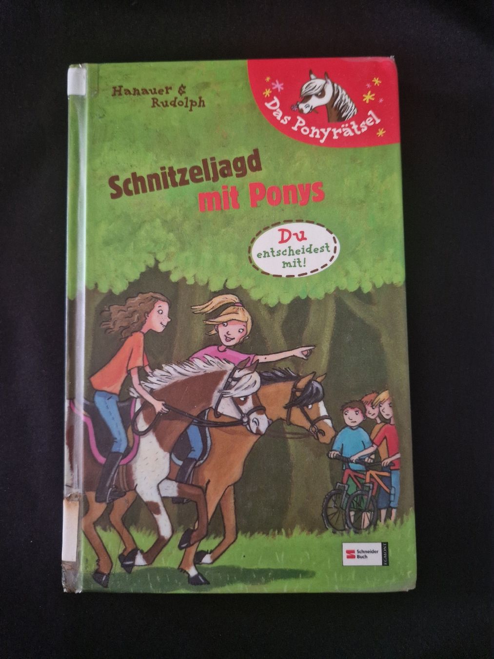Bücher: Das Ponyrätsel – Neu (gemäss Beschreibung) aus Schmidrüti von triggi 1