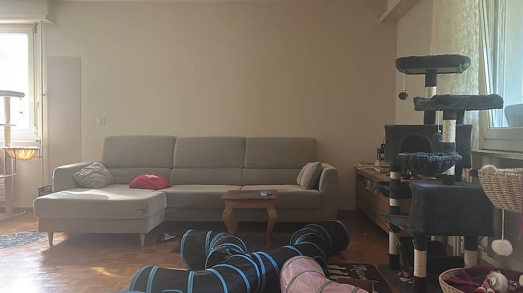 Sofas: IKEA 3Sitzer Sofa hellgrau  – D'occasion à Allschwil par tan_p5r7