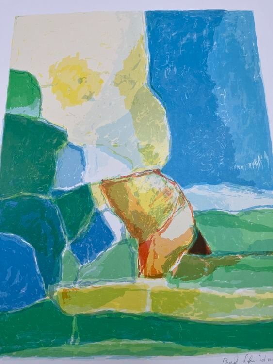 Grafica & Litografie: BERT SCHMIDMEISTER LITHOGRAPHIE SIGNIERT NUMMERIERT – Usato da Gersau venduto da grafik-kunst 1
