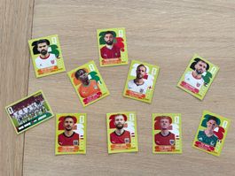 Stickers panini