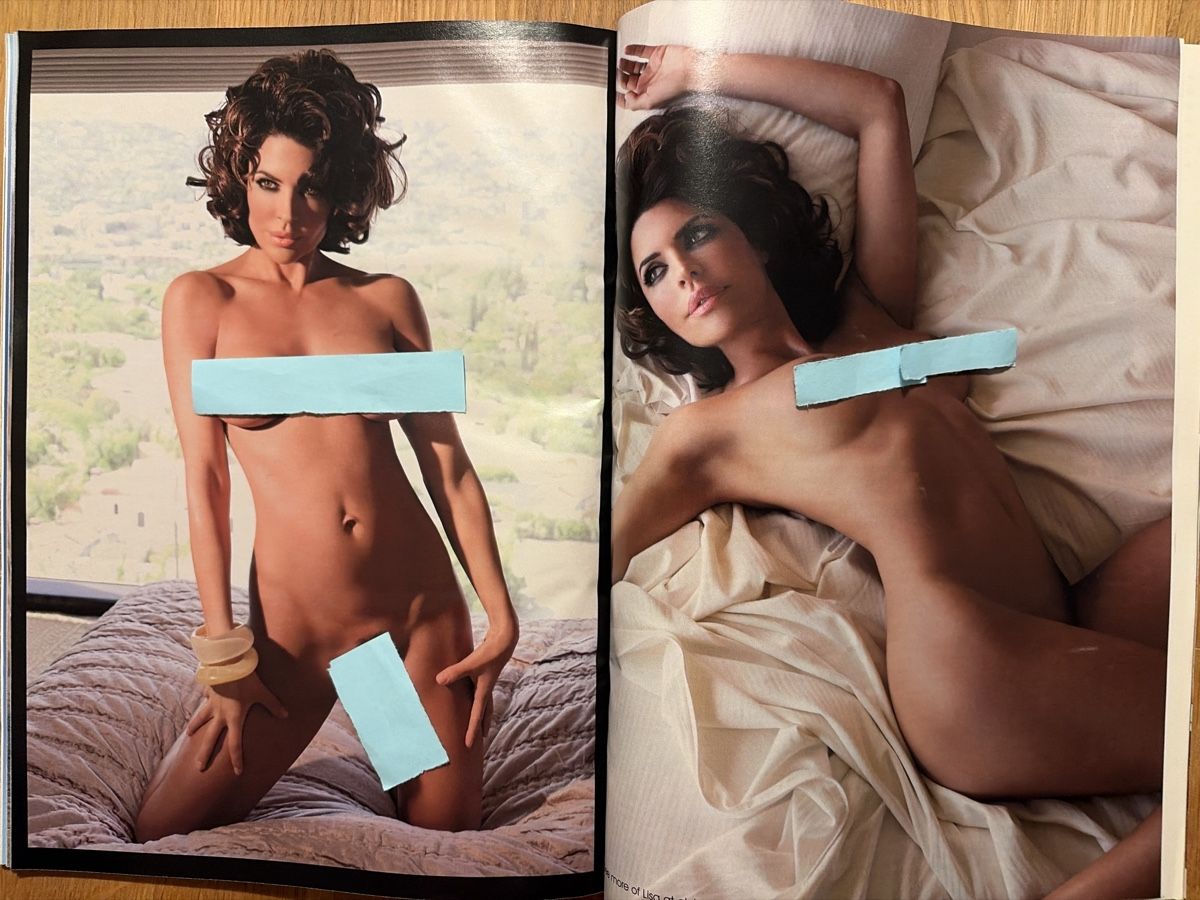 Riviste & Magazine: Playboy Magazin Mai 2009 – Usato da Lengnau BE venduto da tho_8v9x 5