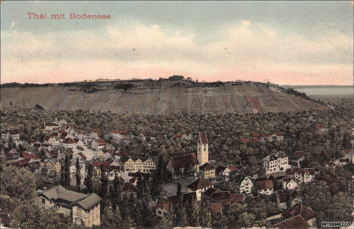 Cartoline postali: Thal SG mit Bodensee // 1908 – Usato da Basel venduto da intermezzo12