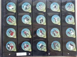 Serie   7385        Dance        AZM  Gastro