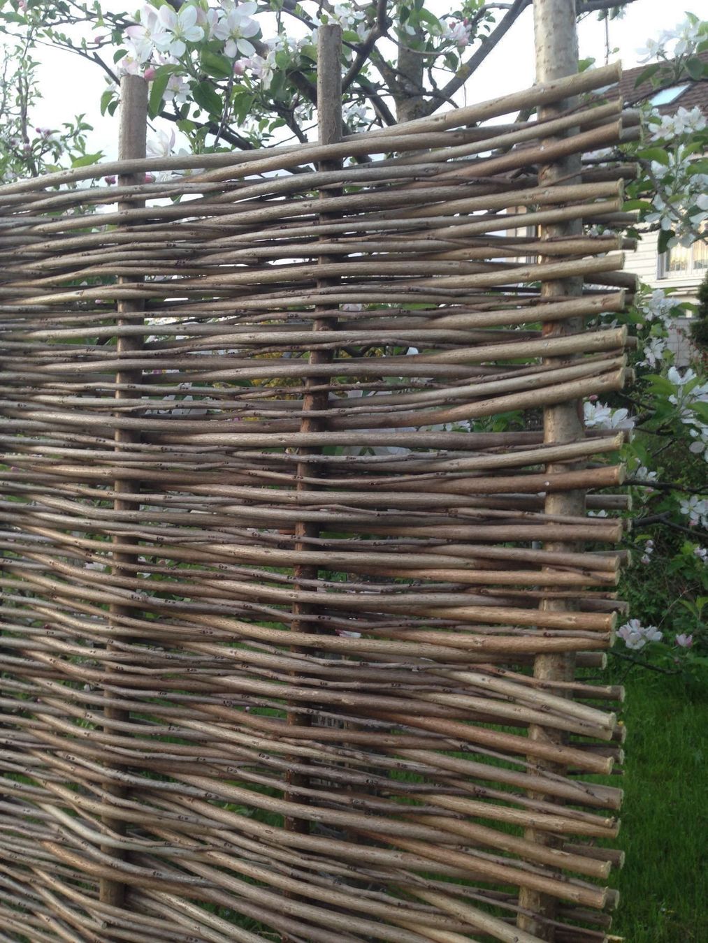 Fendivista: Flechtzaun aus Robinie 180x180cm – Nuovo e nell'imballaggio originale da Thunstetten venduto da chriguoester 1