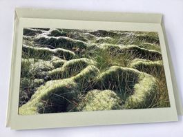 Grusskarte / Fotokarte mit Couvert 14.8 x 21 cm, Natur