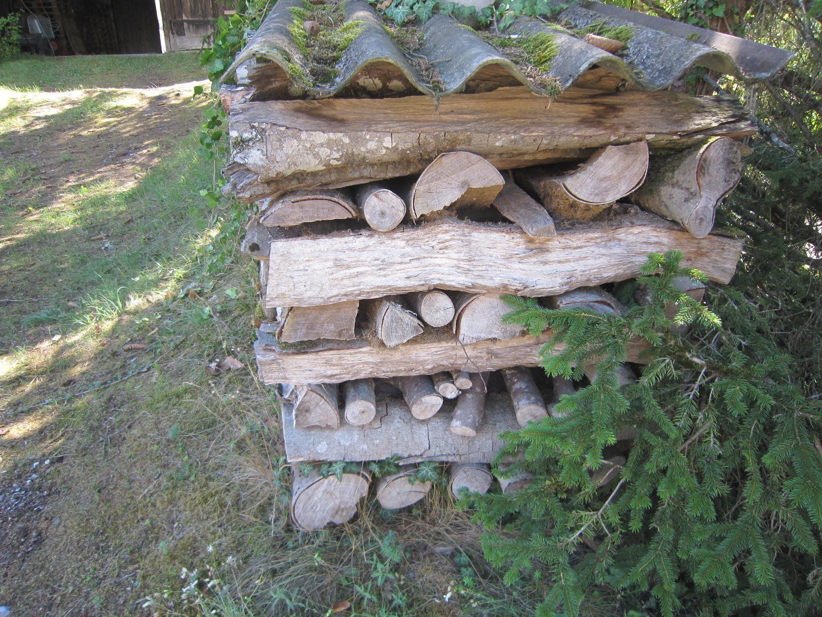 Articoli in legno: Brennholz Buche – Usato da Böttstein venduto da koehlerkafi 3