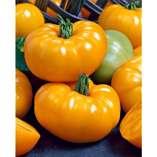 Piante & sementi: Ananas-TOMATE Gelb / 5 Samen – Nuovo (secondo la descrizione) da Hinteregg venduto da ERFOLG78 1