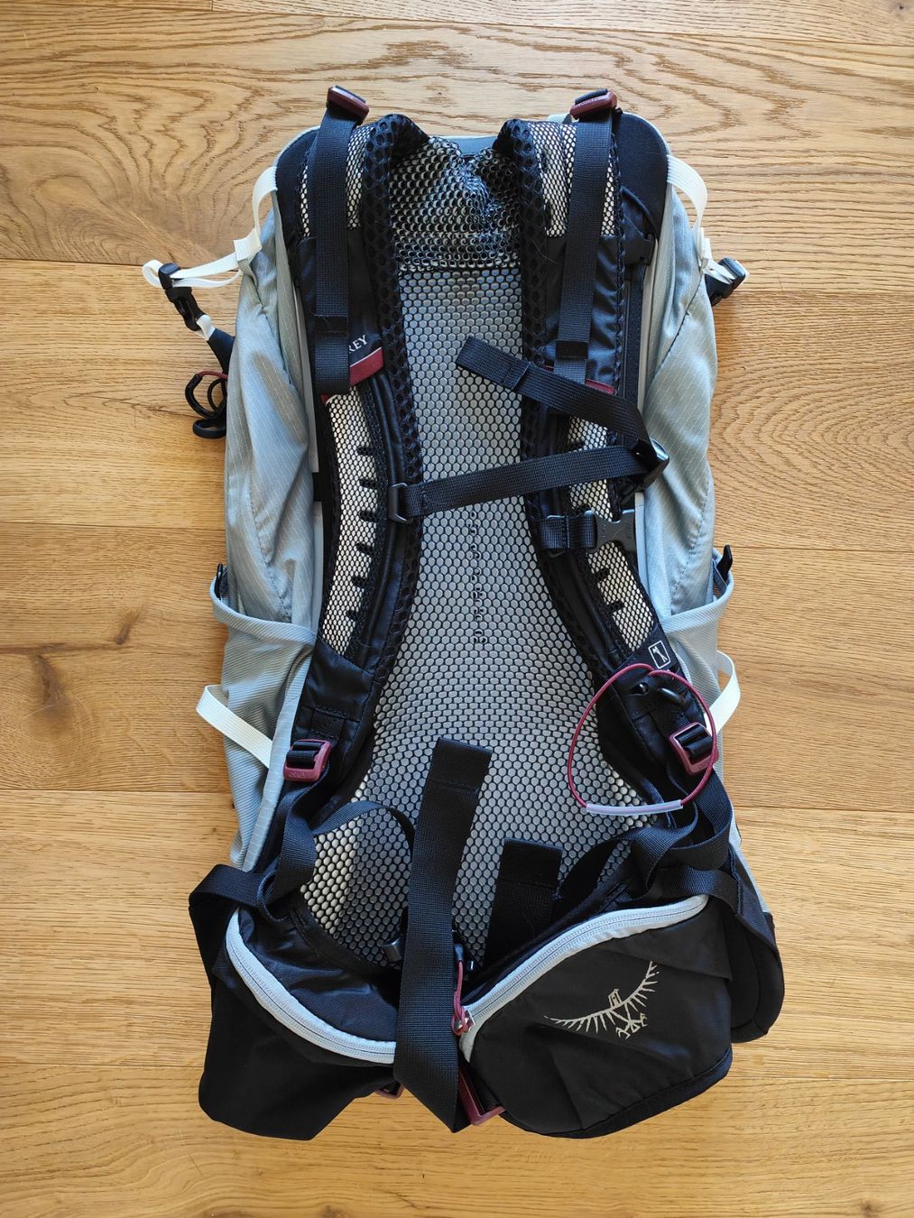 Osprey Rucksäcke: Osprey Stratos 24l Wanderrucksack – Neu (gemäss Beschreibung) aus Rothrist von chbluemli 1