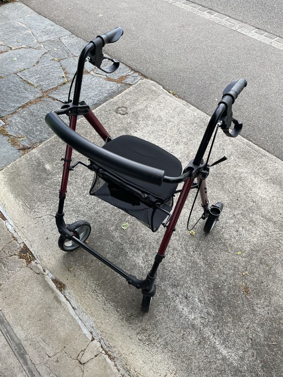 Ausili per la deambulazione: Rollator Gehwagen mit Sitzfläche – Usato da Bern venduto da dafego