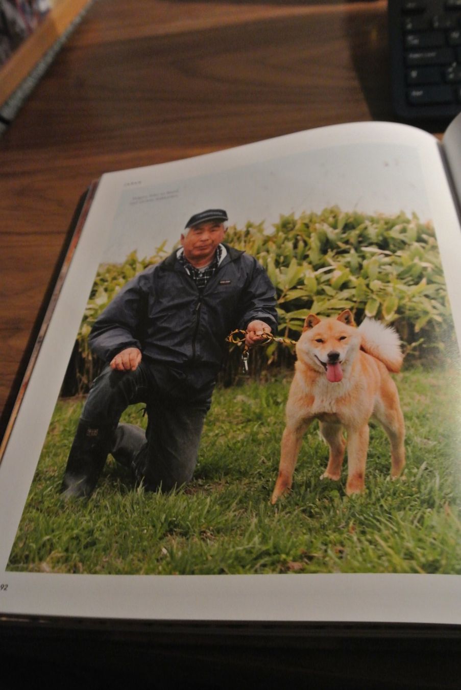 Libri: Gefährte HUND – Usato da Rüschlikon venduto da CBPL 1