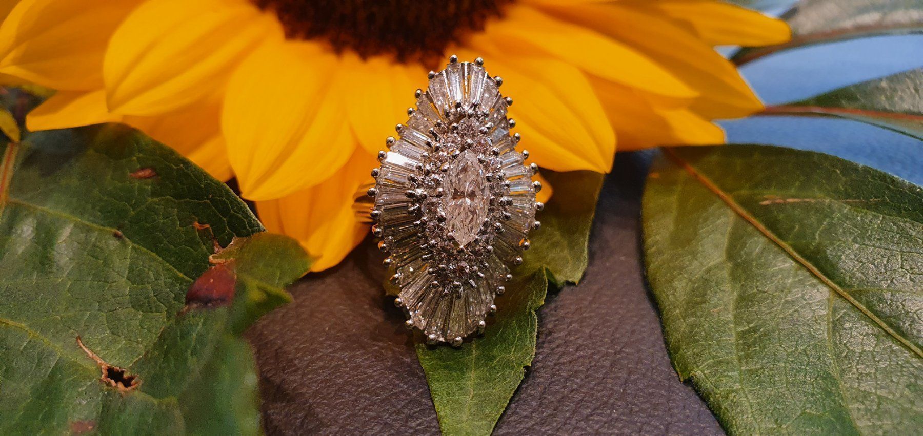 Anelli: Solitär Entourage Diamanten Ring Platin – Usato da Unterägeri venduto da Altgoldschmuck 4