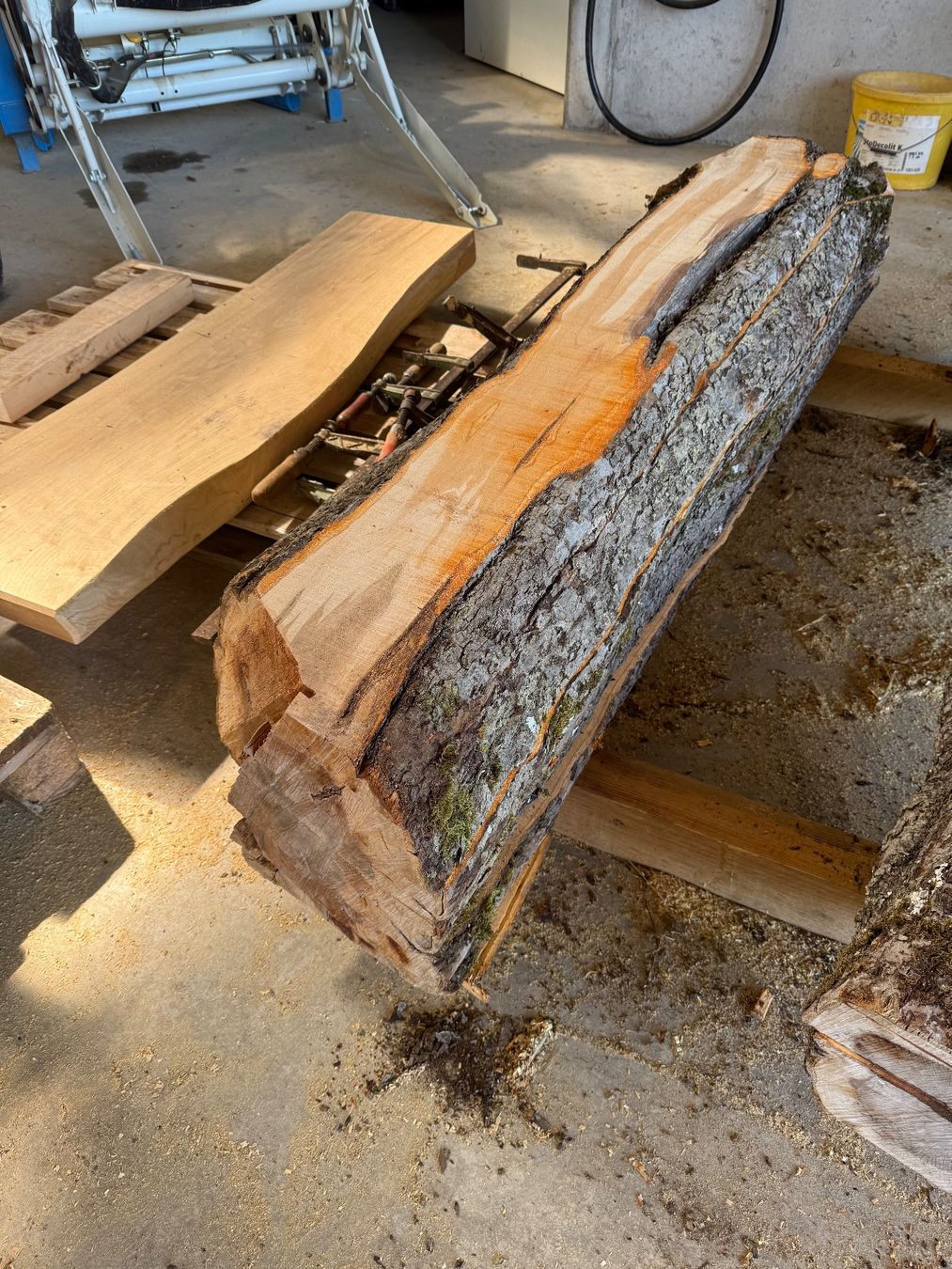 Articoli in legno: Apfelbaum Bretter Stamm – Nuovo (secondo la descrizione) da Holziken venduto da Timbergrizzly 4