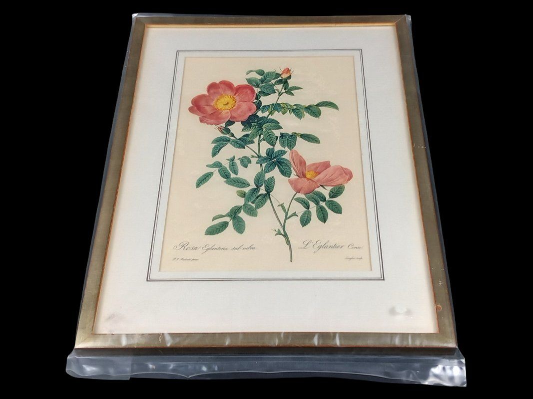 Poster & Bilder: Blumenbild in Bilderramen – Gebraucht aus Hünenberg von Restwert_Zug 6