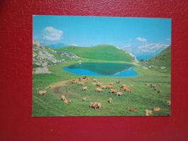 AK Wanderung Bergseen Waadt Lac de Ai mit Beschrieb
