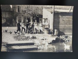 Aufnahme Soldaten mit Gefluegel am Wasser, ca. 1910