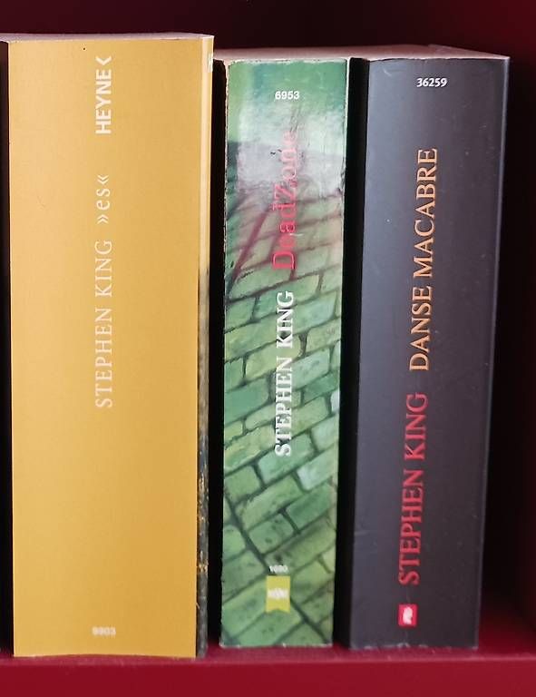 Libri: Stephen King Bücher – Usato da Schlieren venduto da l.fabbrini 1