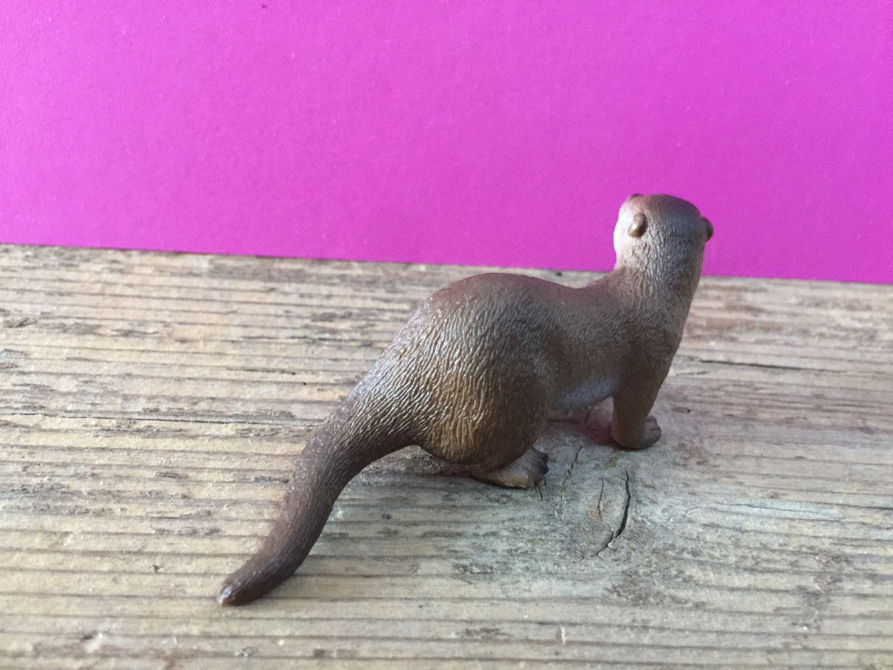 Schleich Statuette: Schleich Otter Tier Schleichtier – Usato da Ennetbaden venduto da mapa05 1