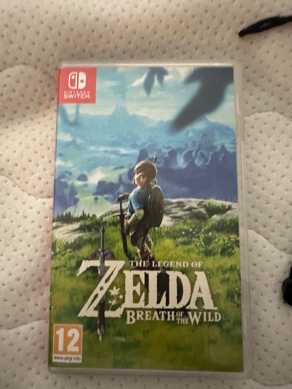 Nintendo Console: Nintendo Switch V1 UNPATCHED Mega-Set: 4 Joy-Cons – Usato da Oetwil am See venduto da nbo_s8jk 6