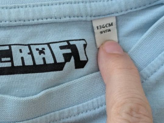Camicie, T-shirt & Polo: MINECRAFT - T-Shirt Set - Gr. 134 – Usato da Staufen venduto da Fleby84 4
