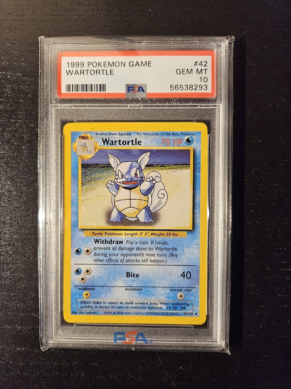 Pokémon Carte collezionabili: PSA 10 Wartortle Base Set ENG 1999 42/102 Pokemon – Nuovo (secondo la descrizione) da Muttenz venduto da PokeMan