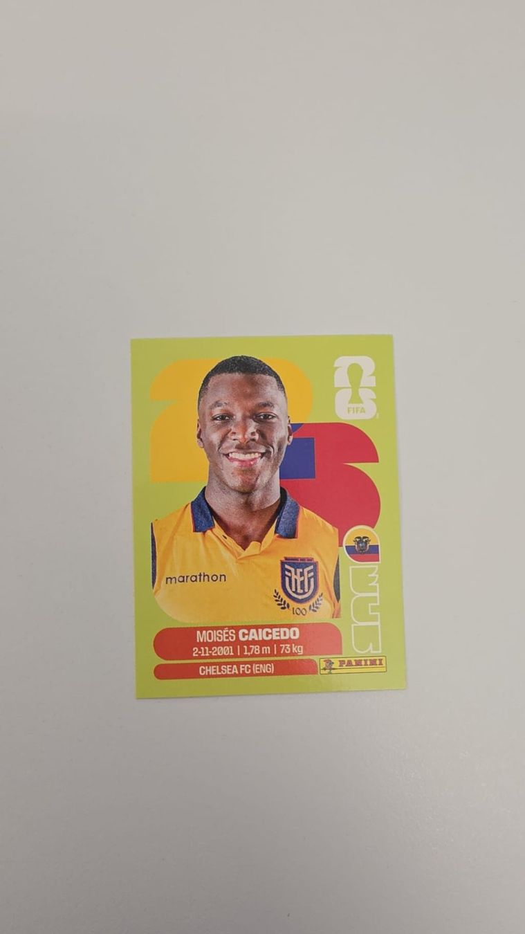 Panini Carte collezionabili: Panini WM 2026 ECUADOR ECU 9 – Nuovo (secondo la descrizione) da Oberentfelden venduto da prince86