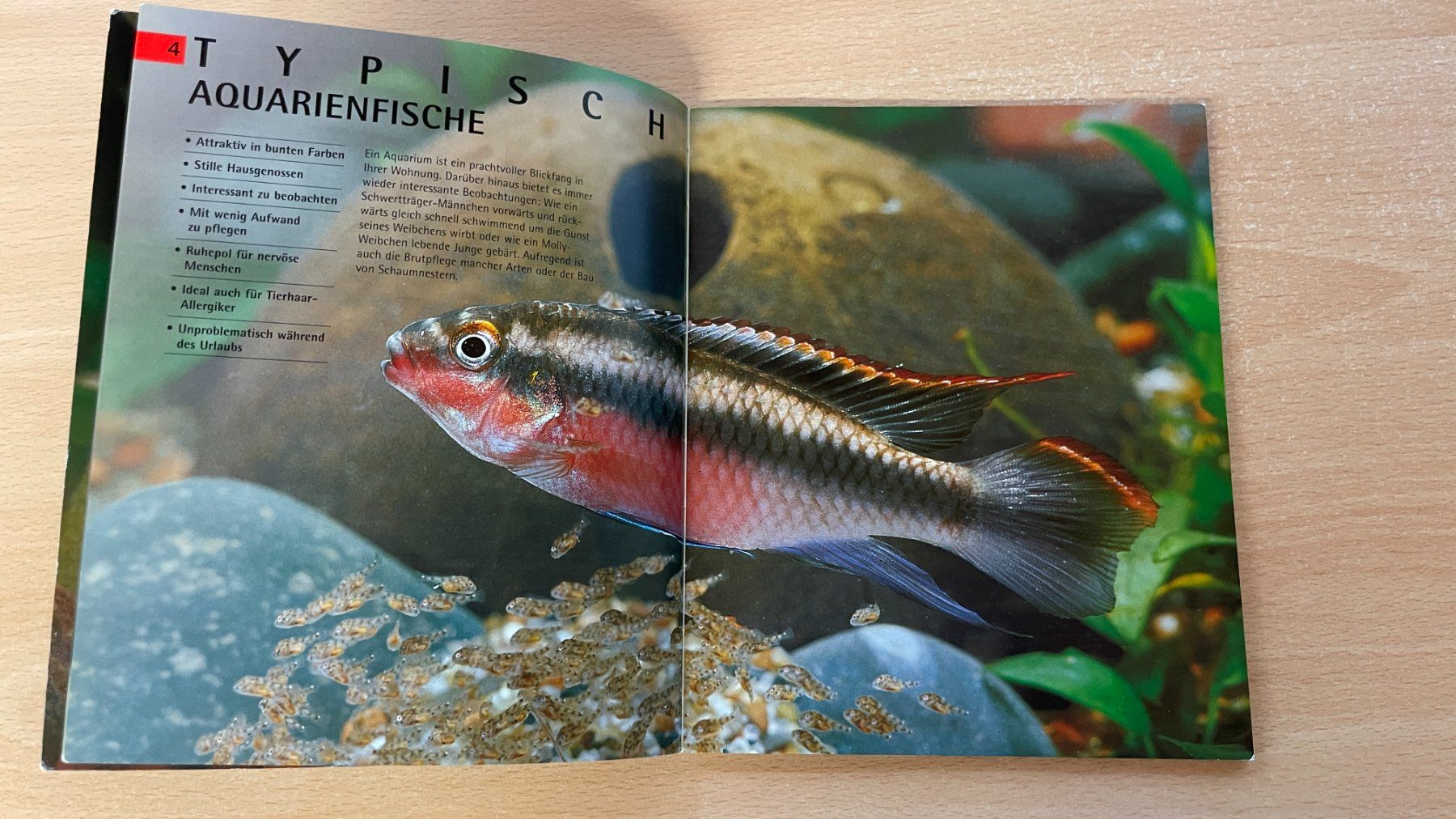 Livres: Das Aquaium – D'occasion à Glattfelden par flomiking 4