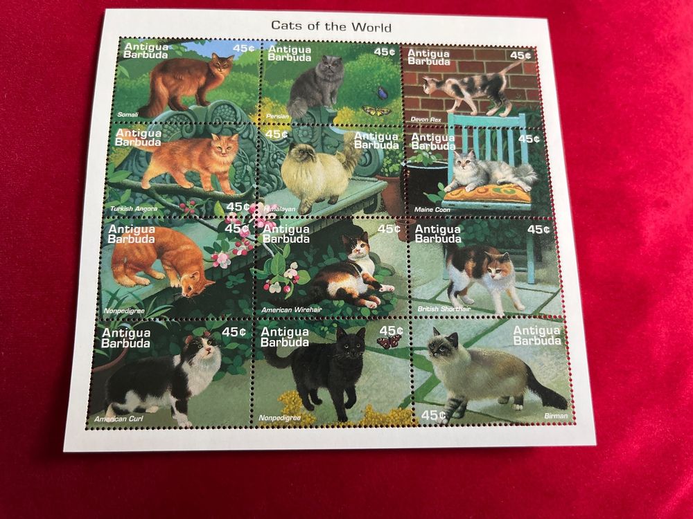 100 Verschiedene Briefmarken Mit Katzen-Motiven – Sammlung Mit Löwen, Tigern, Leoparden (Sammler-Kollektion)