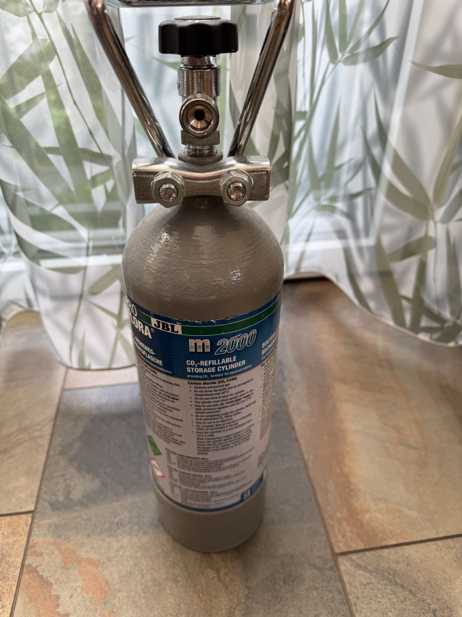 Apparecchiature e tecnologia a gas: JBL ProFlora CO2 Druckflasche 2000 M – Usato da Pratteln venduto da Gunic