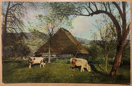 Schöne AK Bauernhaus mit Strohdach im Aargau um 1908