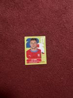Panini Sticker David Zima Tschechien Nr. 8