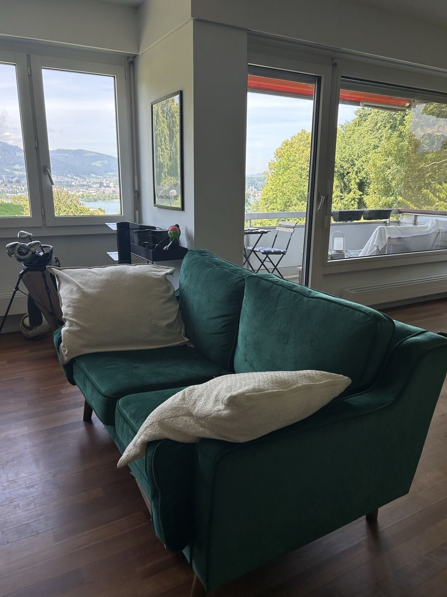 Divani: stylisches grünes velvet Sofa – Usato da Luzern venduto da lcp_1201 1