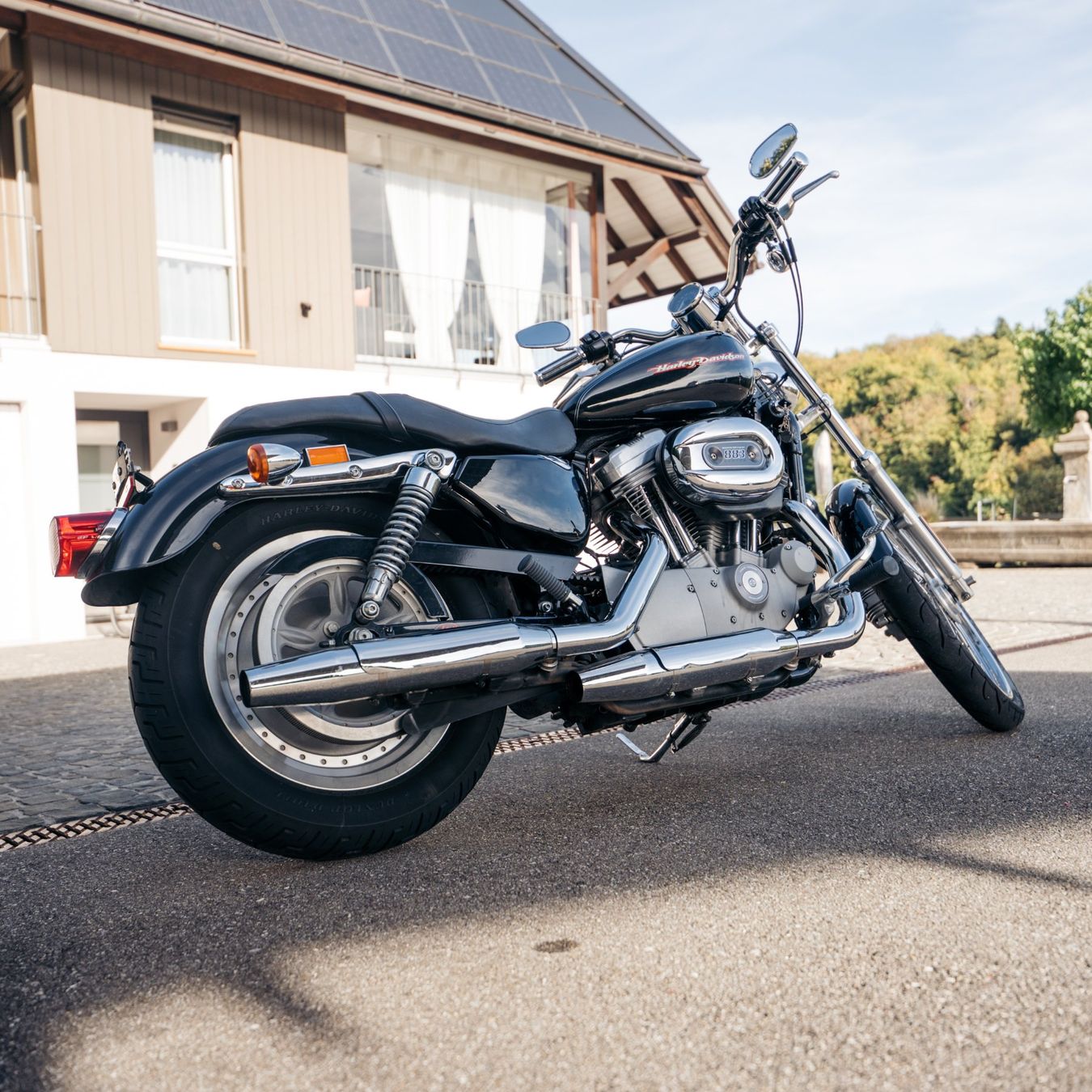 Harley-Davidson Chopper: Harley Davidson XL883 Custom – Gebraucht aus Herrenschwanden von Odin77 1