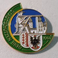 AA095 - Pin Stadtschützen BRIG Wallis 1907