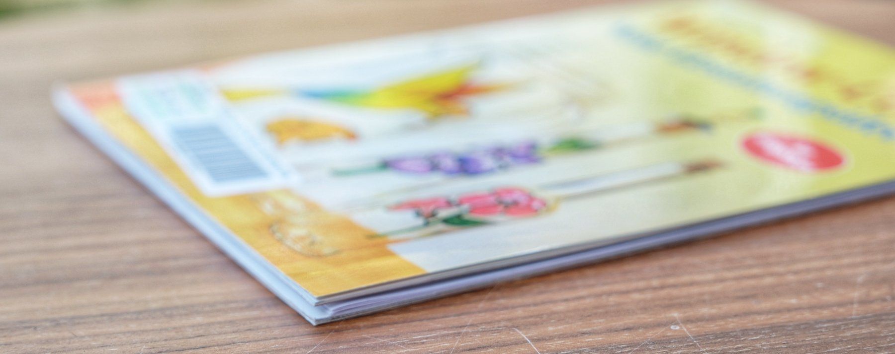 Libri: Window Color Neue Gestaltungsideen Heft – Nuovo (secondo la descrizione) da Wohlen AG venduto da Exitburn 2