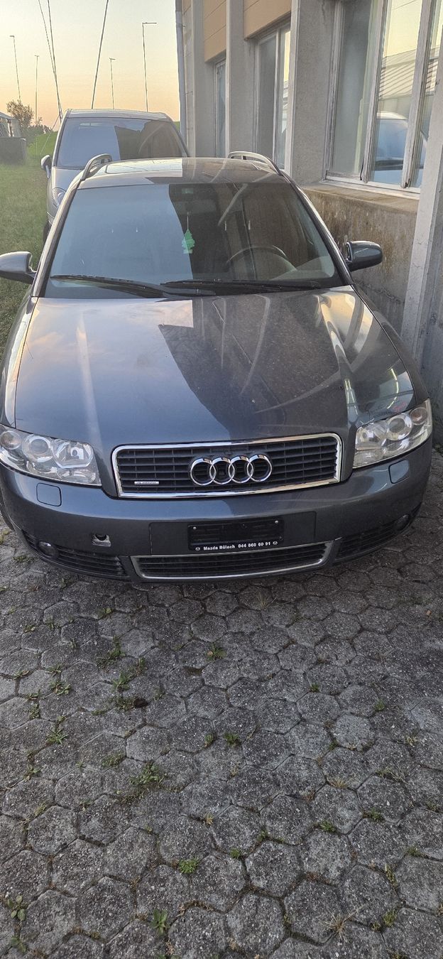 Automobili: Audi A4 Avant Quattro V6 TDI – Usato da Herisau venduto da Ijenic0610
