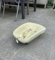 Tripp Trapp Newborn Aufsatz 