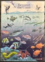 Exklusiver Bogen - Beyond the Coast, postfrisch
