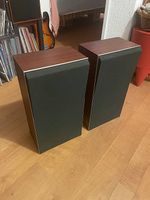 Bang & Olufsen S2400
