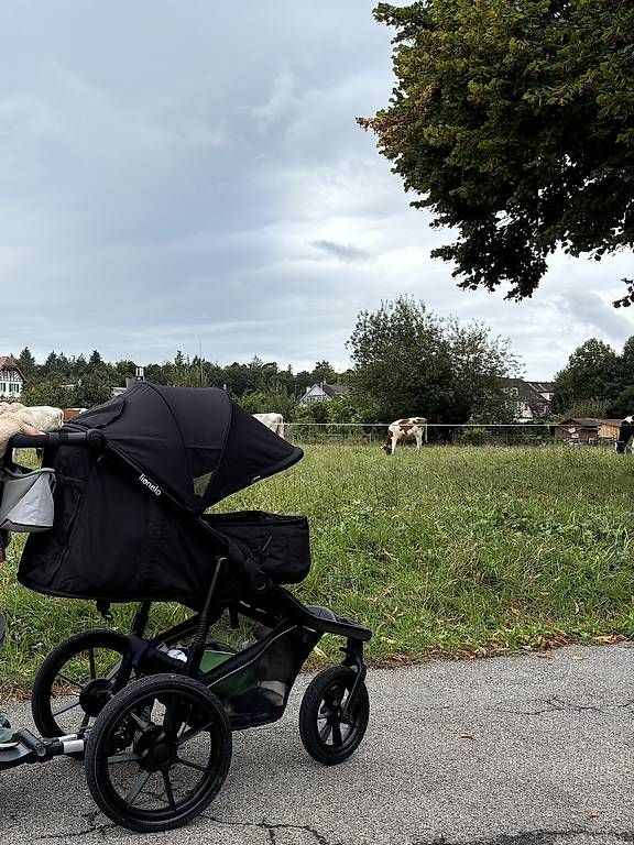 Lionelo Carrozzine: Lionelo Kinderwagen – Usato da Bern venduto da ann_gabrielle