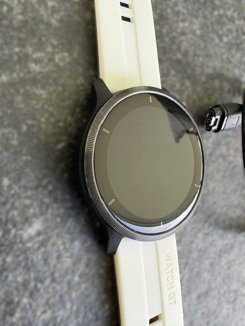 Garmin Smartwatch: Garmin Venu 2 Smartwatch – Usato da Fruthwilen venduto da dan_b7kq 1