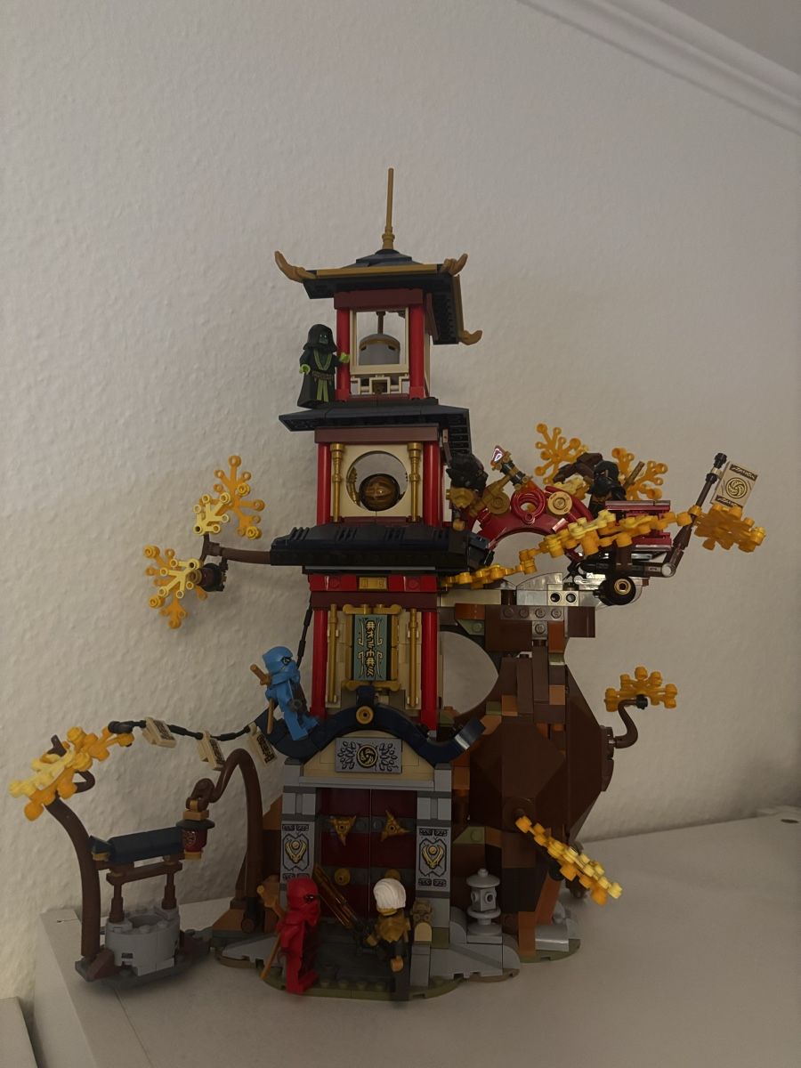 Lego Giocattoli: LEGO Ninjago Tempel der Drachenpower 71795 – Usato da Basel venduto da ralle80