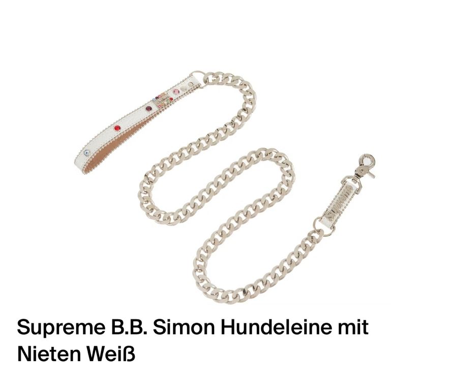 Newtensina Punk-Halsband Mit Leine Für Hunde – Stylisch Mit Nieten