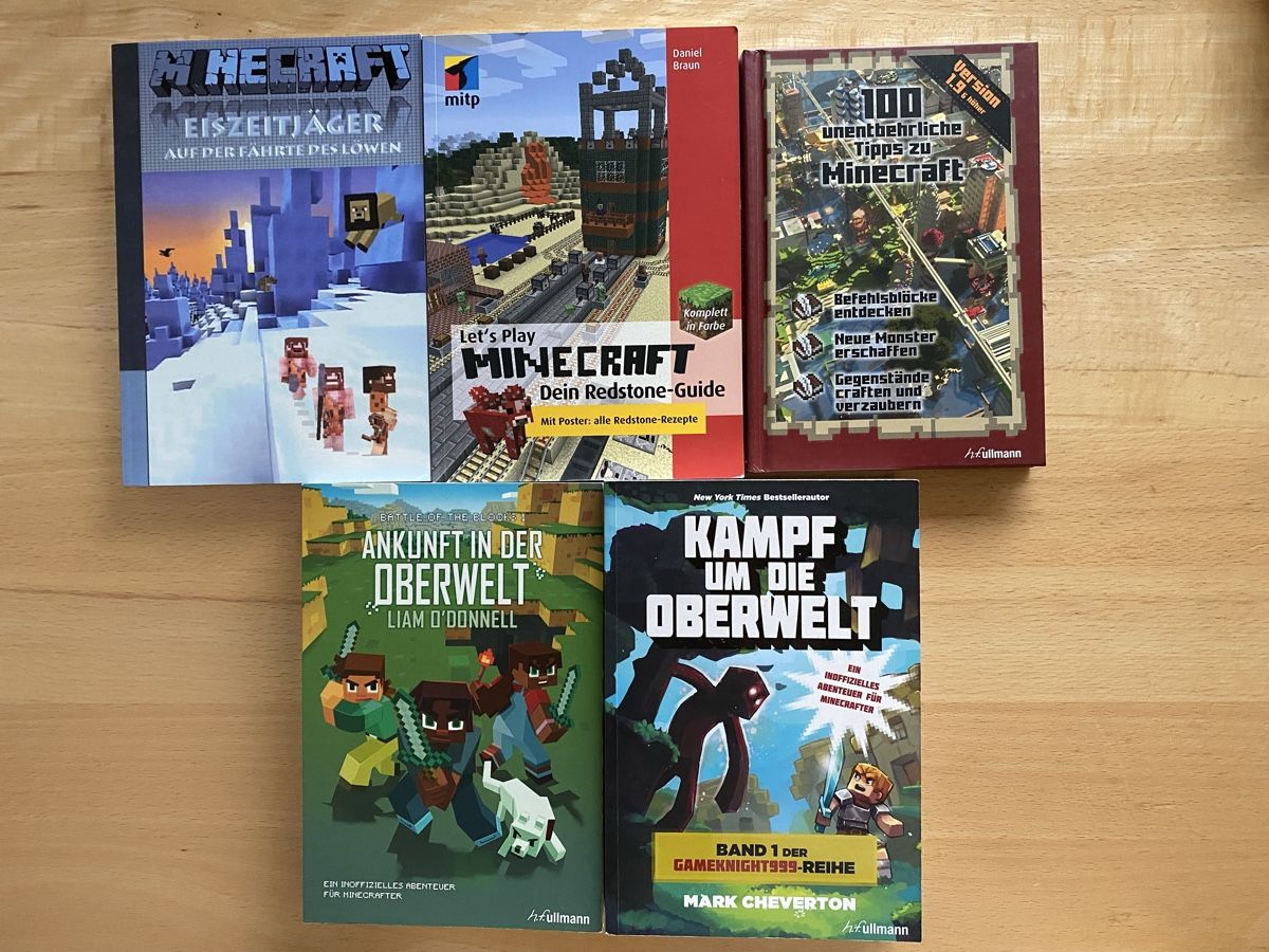 Livres: 5 Minecraft Bücher – D'occasion à Schwarzenburg par Michellu