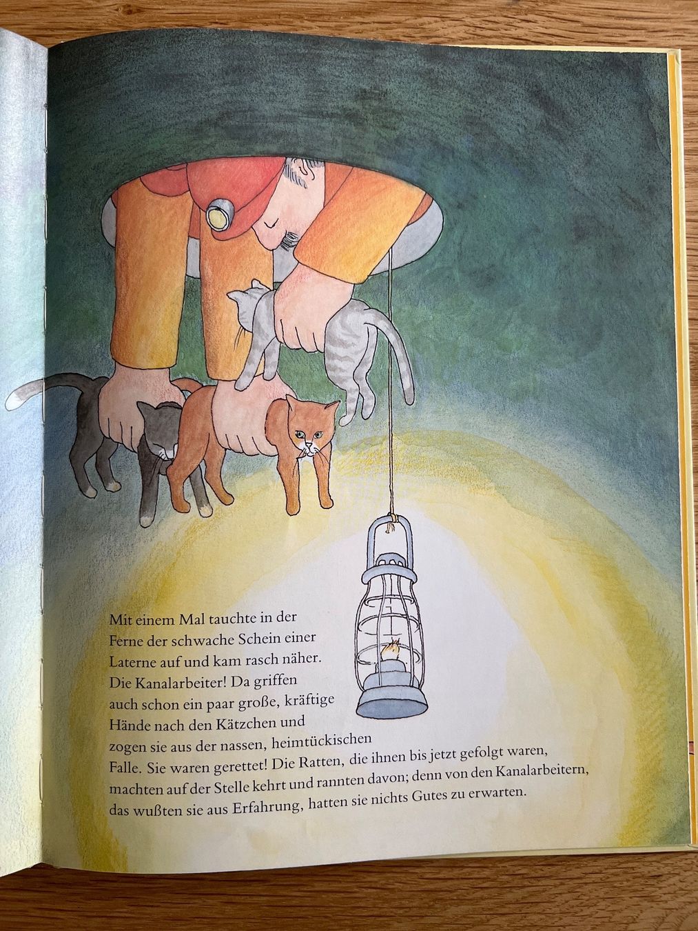 Libri: Kinderbuch Katzenjammer und Katzenglück – Usato da Zürich venduto da kitsune 1