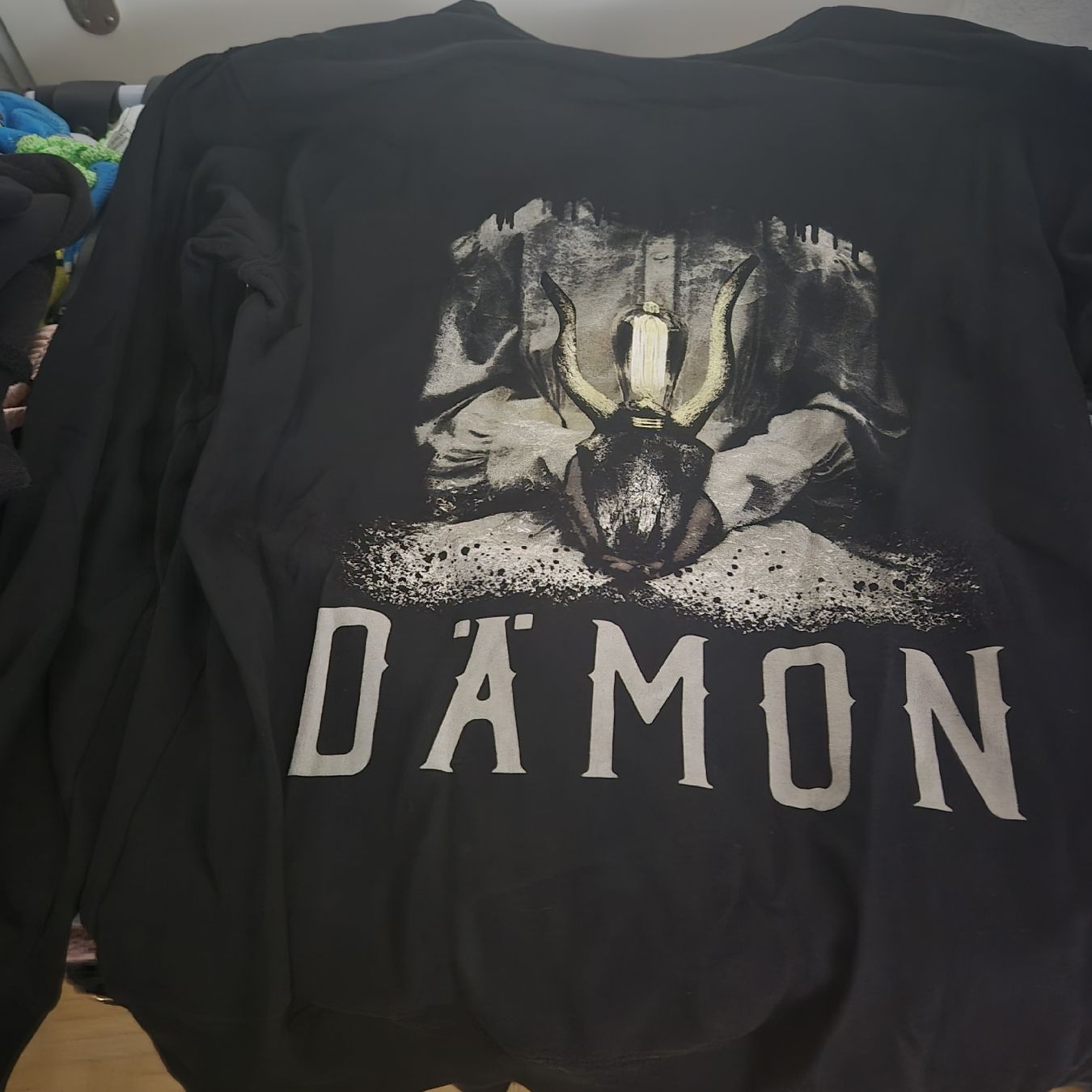 Maglioni & Felpe: Erdling Merch Kapuzenpullover, Grösse L - – Usato da Arlesheim venduto da Gargy79 1