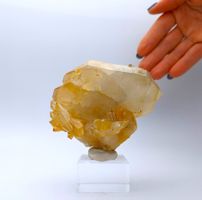 EINZIGARTIGER, CITRIN-QUARZ FADEN ALPIN biterminiert, natur