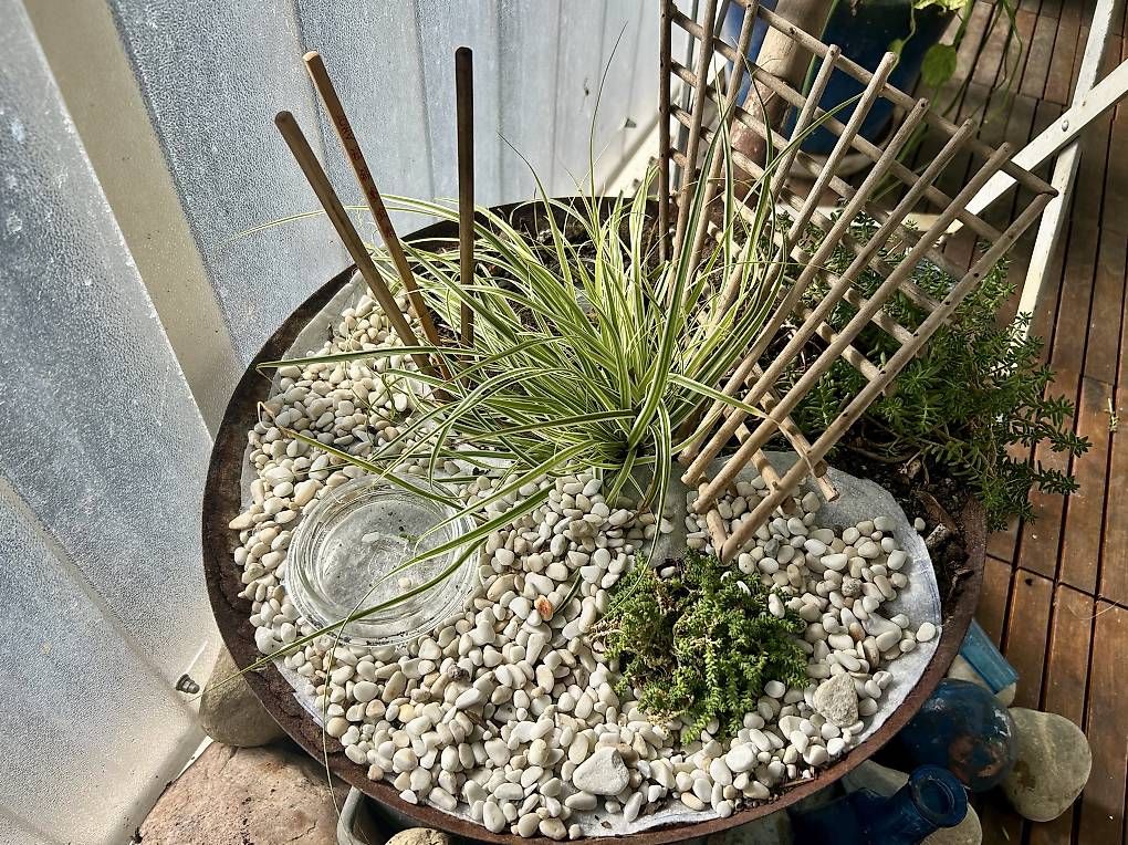 Pots de fleurs: Bepflanzter Wok  – Neuf avec emballage d'origine à Frauenfeld par Irene.Schuppli 3