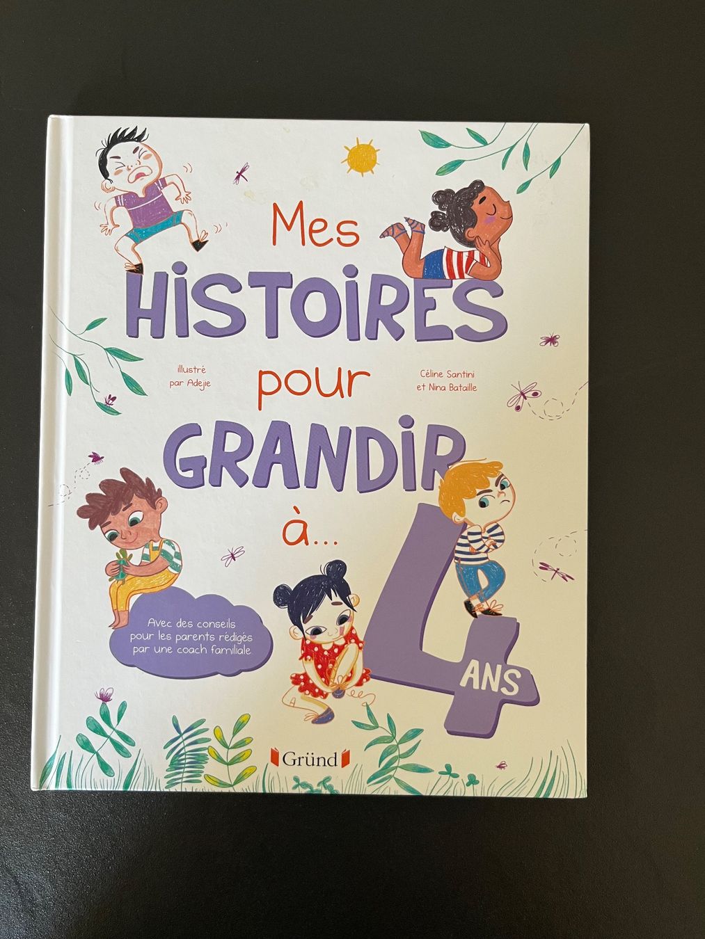 Libri: Livre histoires 4 ans – Usato da Chénens venduto da RosaLine